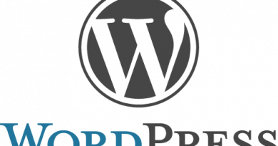 Wordpress momentaneamente non disponibile